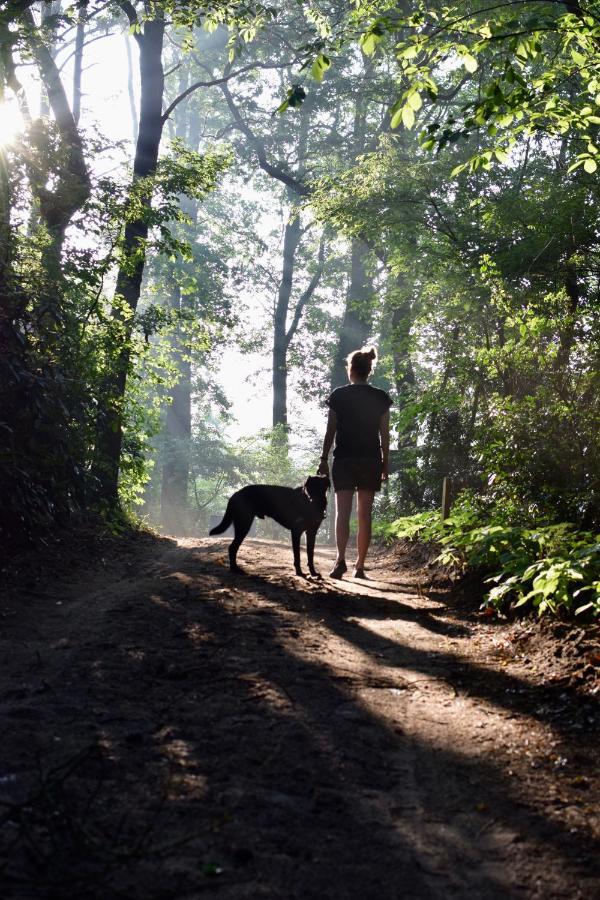 Villa Natuurlogies Buurse Buiten Haaksbergen