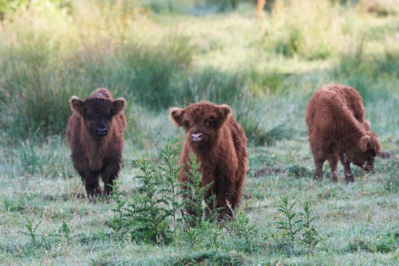 Natuurlogies Buurse Buiten Haaksbergen